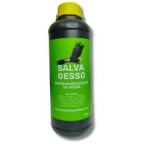 Salva Gesso 1 Litro Impermeabilizante para Gesso e Cimento - Ref. IS2