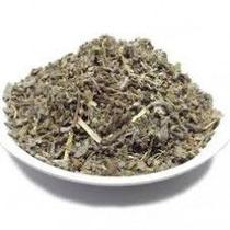 Salvia Officinallis 500g