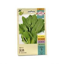 Sálvia Sálvia - 300mg de Sementes