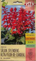 Salvia Splendens Alta / Flor de Cardeal - 200mg de Sementes Salvia Splendens Alta / Flor de Cardeal - 200mg de Sementes