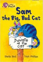Sam the big, bad cat