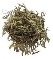 Samambaia 250g (Erva Desidratada) Samambaia 250g (Erva Desidratada)