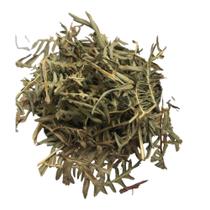 Samambaia 250Gr (Erva seca)