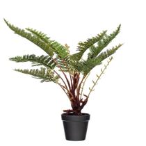 Samambaia artificial para interior Vickerman 51cm poliéster verde Samambaia artificial para interior Vickerman 51cm poliéster verde