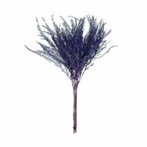 Samambaia Barranco Lilás Desidratado