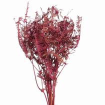 Samambaia Barranco Pink Desidratado