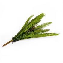 Samambaia Folhagem Artificial Com Print Verde 10x65 Cm - D'rossi