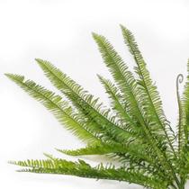Samambaia pendente (92cm) - verde