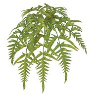 SAMAMBAIA PENDURAR C/PRINT PLASTICO X8 FOLHAS VERDE 46cm SAMAMBAIA PENDURAR C/PRINT PLASTICO X8 FOLHAS VERDE 46cm