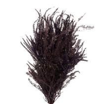 Samambaia Três Andares Roxo Desidratado