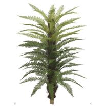 Samambaia verde real toque 1,7m