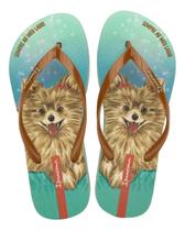 Sandalaia ipanema pets pop Sandalaia ipanema pets pop