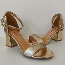 Sandália Bottero Feminina Linda e Confortável 2026 Sandália Bottero Feminina Linda e Confortável 2026