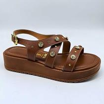 Sandália Feminina Vizzano Papete Detalhe Pedras 6492.330 Sandália Feminina Vizzano Papete Detalhe Pedras 6492.330