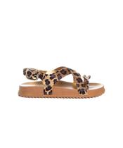 Sandália Flatform Pixolé Animal Print Onça Sandália Flatform Pixolé Animal Print Onça