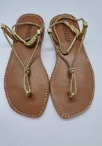 Sandalia Rasteira Brilho Ouro