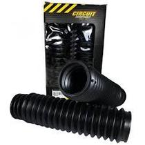 Sanfona Bengala 32 Dentes Cores Circuit Sanfona Bengala 32 Dentes Cores Circuit