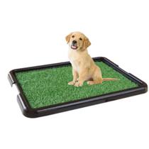 Sanitario Canino Para Cães Xixi Pet Tapete Higiênico Grama Sintética Lavável APARTAMENTO