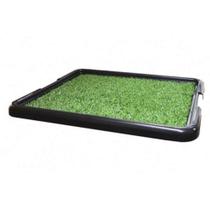 Sanitário Higiênico Brinqpet Grama Graminha para Cães - Pet Injet