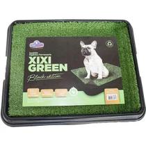 Sanitário Higiênico Pet Injet Xixi Pets Green Black Edition Grande