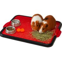 Sanitário Higiênico Plástico para Porquinho da Índia Coelho e Hamster Sanitário Higiênico Plástico para Porquinho da Índia Coelho e Hamster
