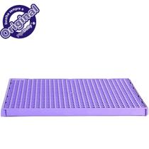 Sanitário para cachorro Acoplável BABY PIPI DOLLY'S Lilás