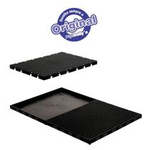 Sanitário para cachorro Acoplável PIPI DOLLY'S Preto