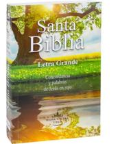 Santa biblia letra grande concordancia y palavras de jesus em rojo
