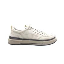 Sapatenis democrata 640201