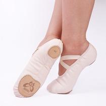 Sapatilha Meia Ponta Frappé Lona Com Streech Adulto Evidence 38