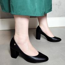 Sapato Conforto Firezzi Scarpin Salto Alto 2411811 Sapato Conforto Firezzi Scarpin Salto Alto 2411811