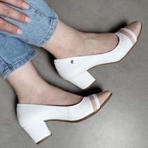 Sapato Conforto Firezzi Scarpin Salto Baixo 239503 Sapato Conforto Firezzi Scarpin Salto Baixo 239503