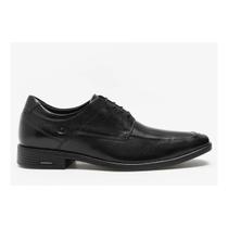 Sapato democrata metropolitan pointer hi-soft