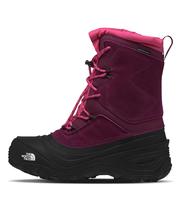 Sapatos de caminhada THE NORTH FACE Alpenglow V WP Kids Boysenberry