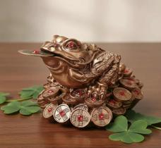 Sapo Sorte Fortuna Kaeru Feng Shui Sapo Sorte Fortuna Kaeru Feng Shui