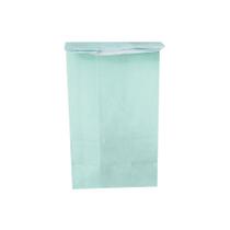 Saquinho de Papel Kraft Azul - 9x18x6cm - 24 Unidades - ArtLille -