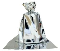 Saquinho Presente 30x44 Prata pacote com 50 unidades