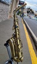 Sax Alto Michael Escovado Wasm31