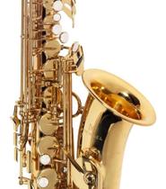 Sax alto michael wasm30n