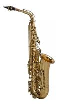 Sax Alto Shelter Sft6430l Laqueado Dourado Com Case Luxo