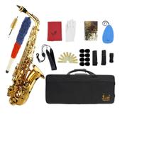Sax alto Slade Eb dourado laqueado com case e acessórios
