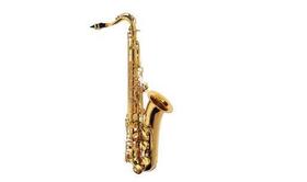 Saxofone Alto Essence Michael WASM30N