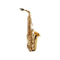 Saxofone Alto MICHAEL Laqueado com Estojo - WASM30N