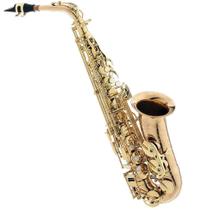 Saxofone Alto Profissional Eagle Sax510 Em Bronze Com Estojo