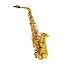 Saxofone Alto SHELTER com Estojo - TSJ 6430L