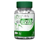 Sbelt Pro 51 Ervas 500mg 60 cápsulas - Flora Viva