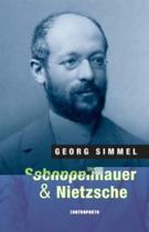 Schopenhauer e Nietzsche Schopenhauer e Nietzsche