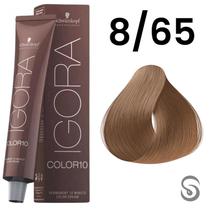Schwarzkopf Igora Color10 Coloração 10 8/65 Louro Claro Marrom Dourado 60ml Schwarzkopf Igora Color10 Coloração 10 8/65 Louro Claro Marrom Dourado 60ml