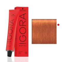 Schwarzkopf Igora Royal 8.77 Louro Claro Cobre Extra 60g - Coloração Profissional Cobertura Total de Brancos Schwarzkopf Igora Royal 8.77 Louro Claro Cobre Extra 60g - Coloração Profissional Cobertura Total de Brancos
