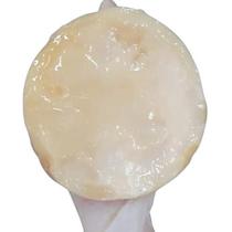 Scoby Premium Kombucha Starter Com Manual De Cultivo Kulti